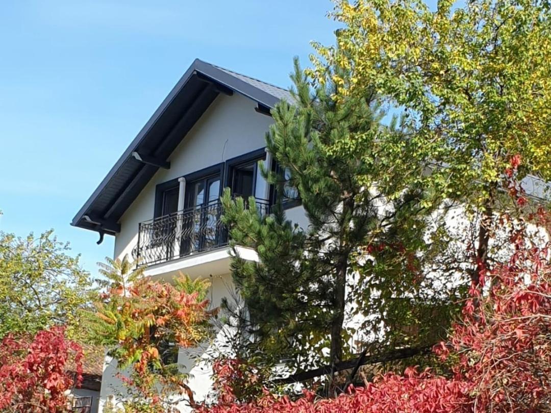 Casa Pe Vale Hotel Rîşnov Eksteriør billede