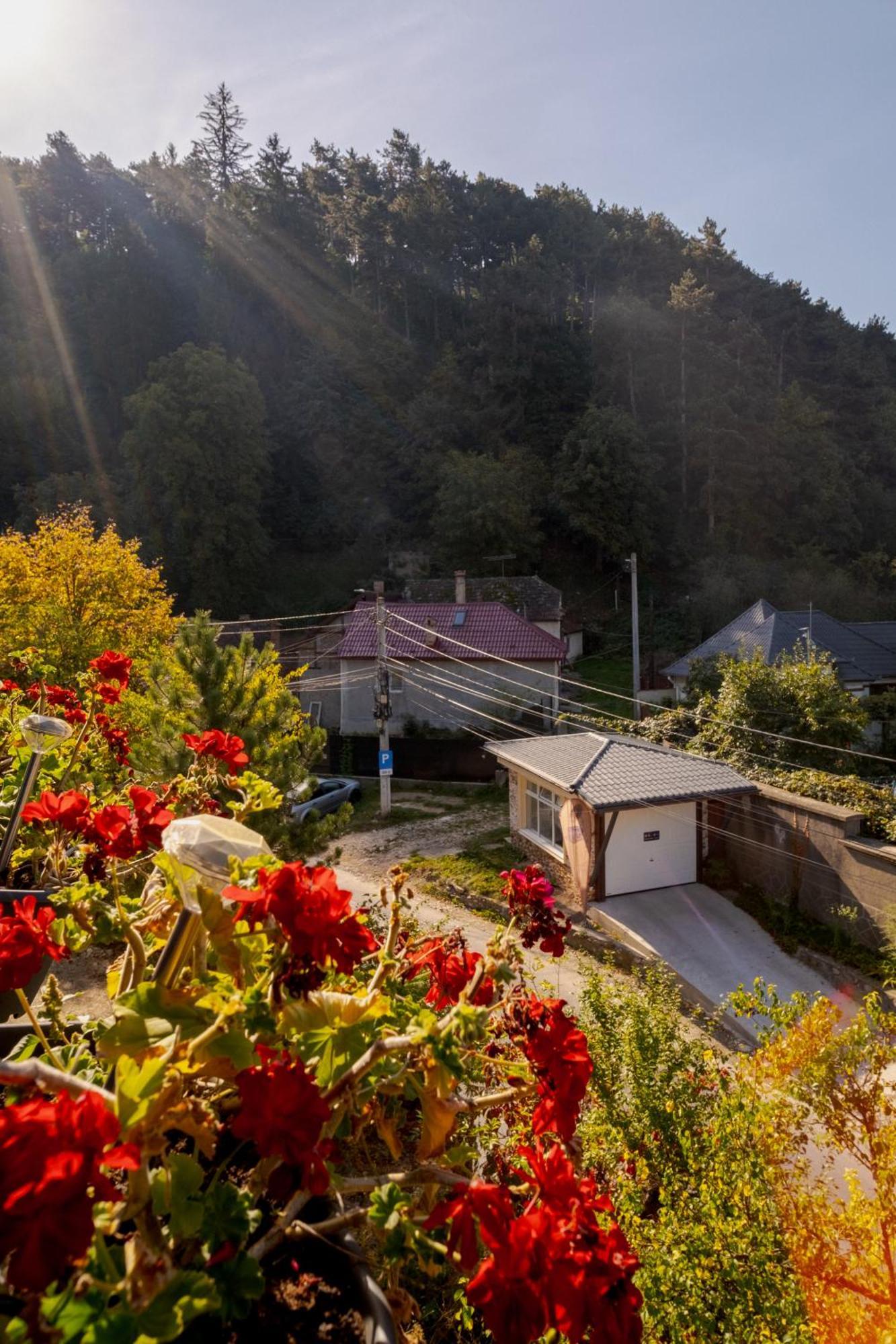 Casa Pe Vale Hotel Rîşnov Eksteriør billede